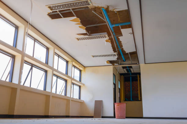 Best Mold removal after water damage  in Santa Ana, CA