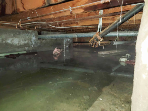 Best Sewage cleanup and water damage restoration  in Santa Ana, CA