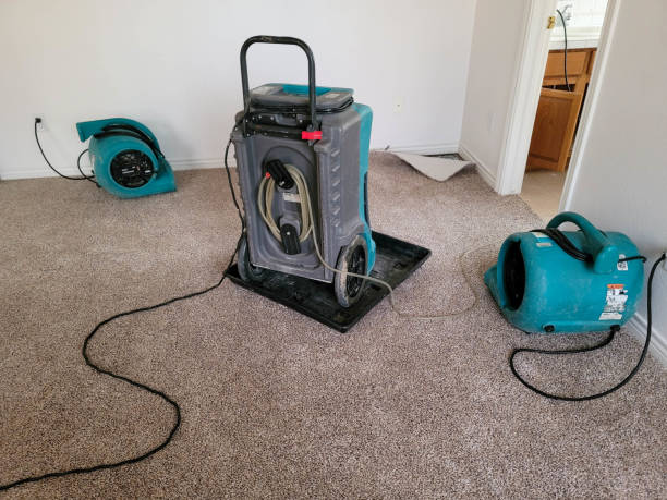 Best Water damage restoration experts  in Santa Ana, CA