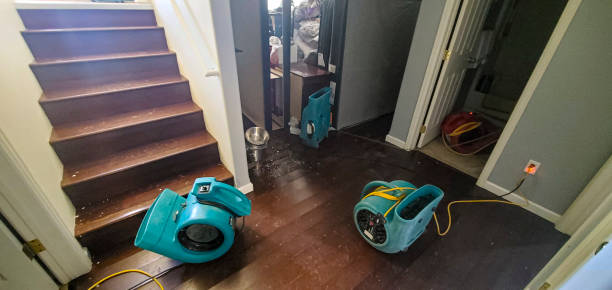 Best Carpet water damage restoration  in Santa Ana, CA