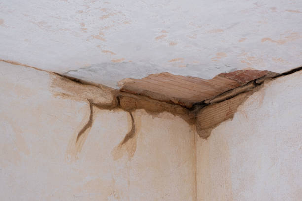  Santa Ana, CA Water damage restoration Pros