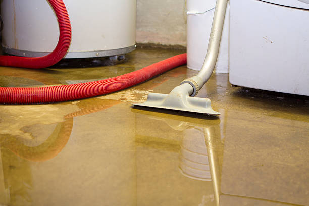 Best Emergency water extraction  in Santa Ana, CA