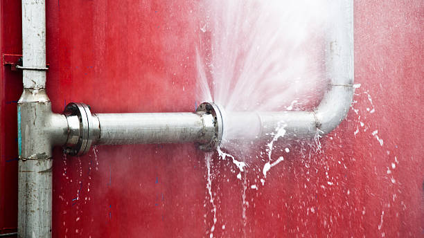 Best Water damage cleanup near me  in Santa Ana, CA
